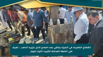 انقطاع الكهرباء في الجيزة يختفي بعد إصلاح كابل جزيرة الدهب.. تعرف على الخطة العاجلة لتثبيت التيار اليوم